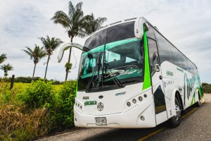 Transportes Morichal S.A
